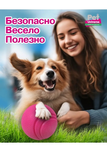 Pet Universe Köpekler İçin Dayanıklı Top Oyuncak 6 Cm 89 Gram Pu3052pk 198986249