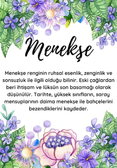 2024 Yılına Özel Ekim Seti