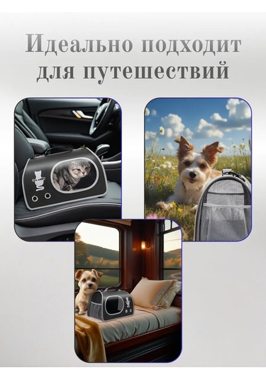 Ybtoo Kediler, Köpekler Ve Kemirgenler İçin Taşınabilir Taşıma Çantası. Ybtoo 421082031