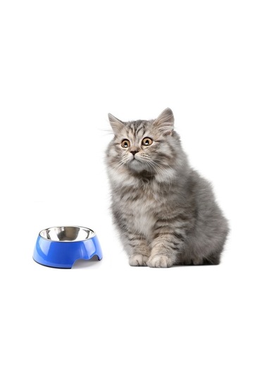 Szypzstore Pet Home Melamin Kaymaz Mama Kabı - Yeşil 5yj2bv