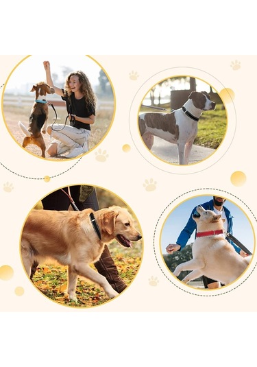 Leezsingköpekler İçin Çıkarılabilir Naylon Koruyucu Ve Hızlı Çıkarılabilir Tokalı Çatal Eğitim Tasması, Büyük Orta Küçük Köpekler İçin Ekstra Çatalla-6