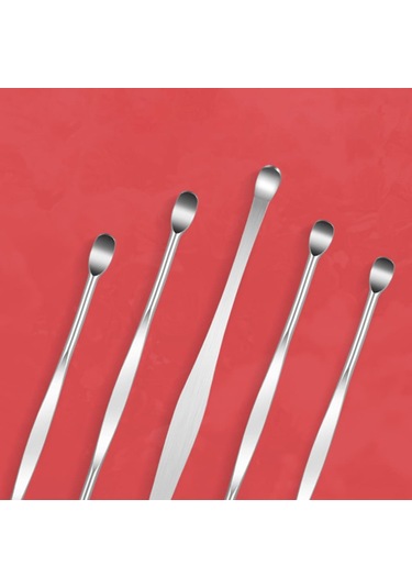 Profesyonel Paslanmaz Çelik Kaşık Kulak Temizleyici Set 9 Adet