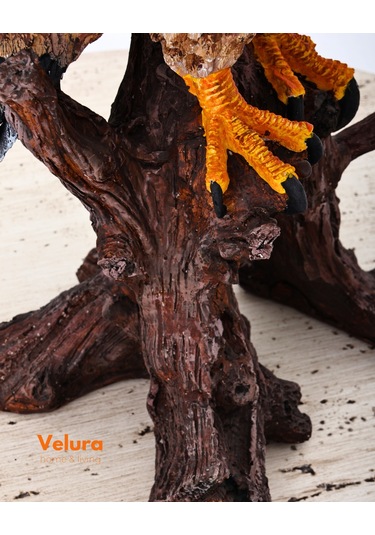 Berkut Kartal Biblo & Heykel & Büst & Figür