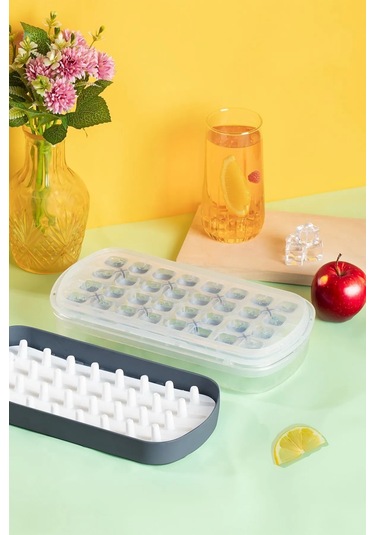 32'li Buzluk Buz Saklama Kabı - Bas Çıkar Buz Küpü Hazneli Buz Kalıbı-antrasit Royaleks-mp-7075 Asorti