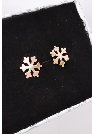 Omar Silver Kadın Kar Tanesi Çivili Gümüş Küpe