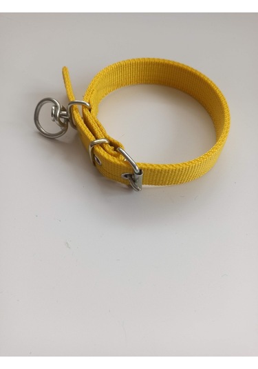 Kozaklı Küçük Irk Köpek Tasması Sarı 50 x 2.5 CM Sarı