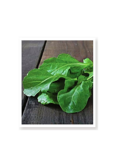 AGRodal Tarım Ata Tohumu Yerli Doğal Roka Nuran 2000 Adet Tohum