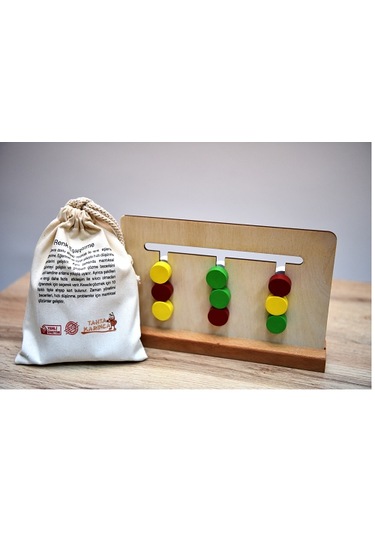 Montessori Renk Eşleştirme Mantıksal Zeka Oyunu