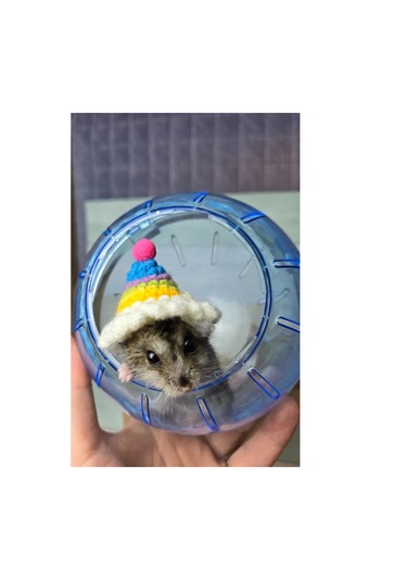 Moonx Renkli Hamster Şapkası. 272413531