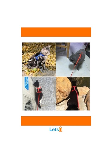 Ayarlanabilir Renkli Kedi Tasması 120cm