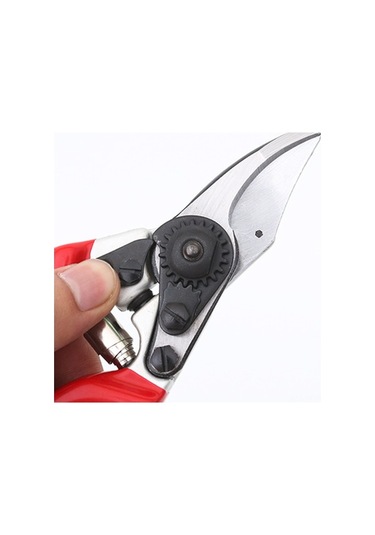 Pazly Tian Tayvan Sakawa Sagawata Meyve Makası Makası Gözdesi Budama Bahçe Amazon'un Ağaçları 7005 7005 Qj