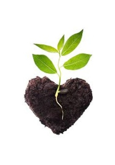 5 KG Organik Doğal Bitki Gübresi Toprak Düzenleyici Gübre