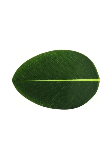 Willowhaven 4 Adet Yaprak Desenli Dayanıklı Ve Silinebilir Süs Ve Servis Altlığı Seti Yeşil Yeşil