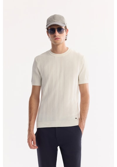 Avva Erkek Ekru Bisiklet Yaka Çizgili Triko Regular Fit T-shirt A52y5005