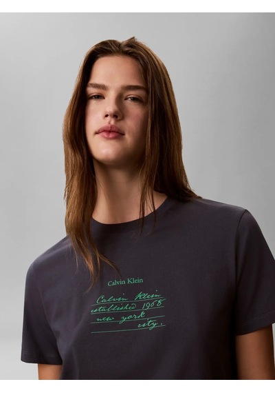Calvin Klein Calvin Klien Ss Classıc Handwrıtı, 4xn Gri Kadın T-shirt