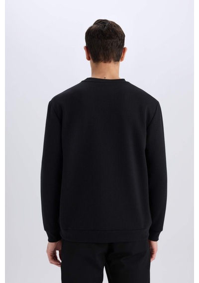 DeFacto Regular Fit Bisiklet Yaka Basic Düz Sweatshirt D7231AX25SPBK81