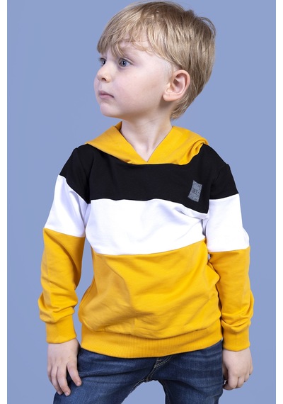 Toontoy Kids Toontoy Erkek Çocuk Kapüşonlu Garni Detaylı Sweatshirt Hardal