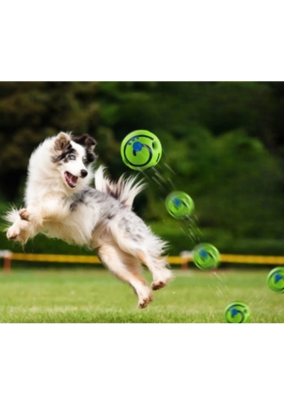 Raikou Köpek Topu İnteraktif Oyun Topu