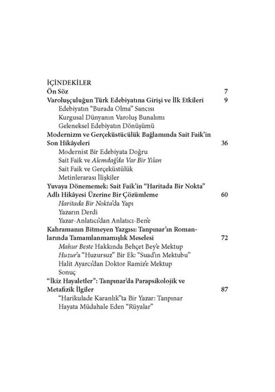 Anlama Arzusu - Modern Türk Edebiyatı Üzerine Yazılar