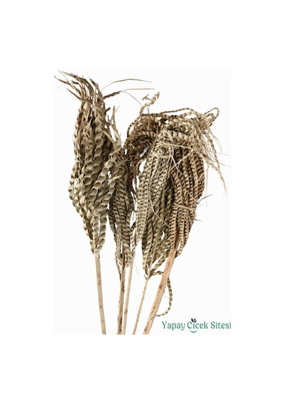 Yapay Çiçek Sitesi Kuru Çiçek Doğal Yılan Örgü Palm Snake Stems 75 Cm 5li Naturel