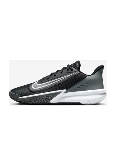 Nike Precision Vıı Erkek Siyah Basketbol Ayakkabısı Fn4322-005 Çok Renkli