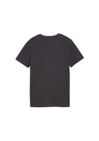 Puma Galatasaray Ftblculture Genç Tişört 786845 19 Gri