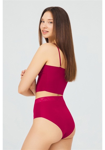 Cottonhill Basic Yüksek Bel Lazer Kesim Bikini Külot 3'lü Paket Renkli2 Çok Renkli