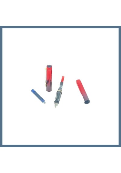 Buradabulabilirsin Dk05 Dolmakalem Teklı Pompa & Kartuslu 812 1 Adet Bbz