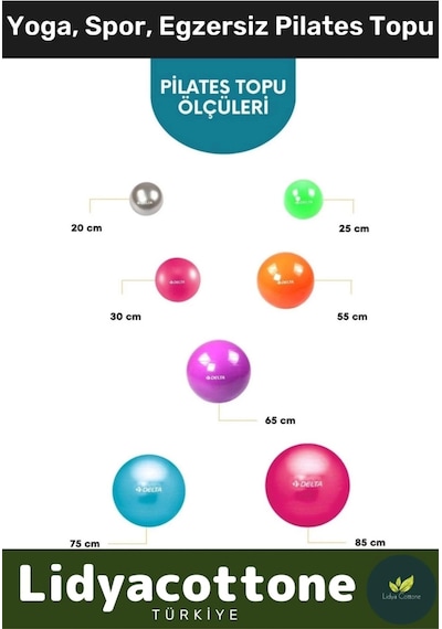 Mini Gymball 20cm Mavi Pilates Denge Egzersiz Topu Profesyonel Seri Şişirme Pompa