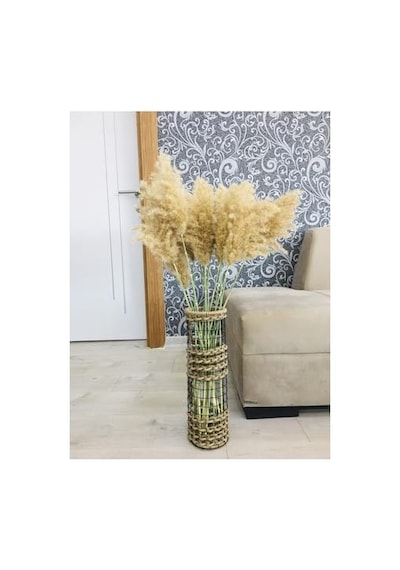 Ayrex 30cm Ayrex 30cm Genel
