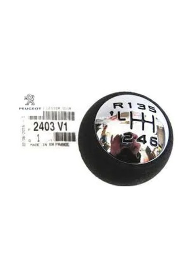 Vites Topuzu Peugeot 2403.v1 Diğer