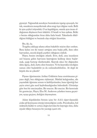 Everest Yayınları Ağustos Mavisi
