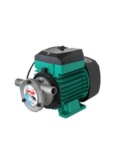 Gross 3/4 Inc Dıştan Çıkış Mazot Ve Sıvı Aktarım Pompası 220 Volt