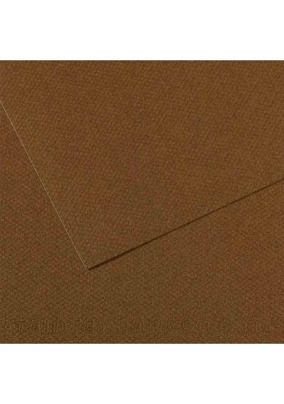 Canson Fon Kartonu Dokulu Mı-teıntes 25 Li 50x65 160 Gr 501 Dark Brown 200331484