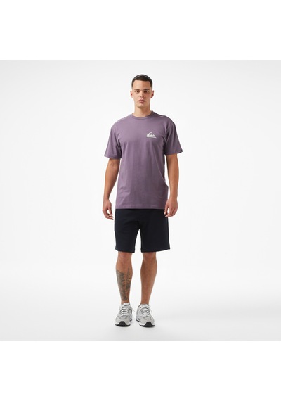 Quiksilver Ev Mini Logo Ss Erkek Mor T-shirt Eqyzt08042 Mor