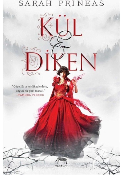 Kül ve Diken - Sarah Prineas - Yabancı