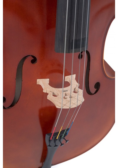 Gewa Gs4020611121 Ideale Vc2 Çello 4/4 Flamed Maple Arka Kapak Profesyonel Görünüm