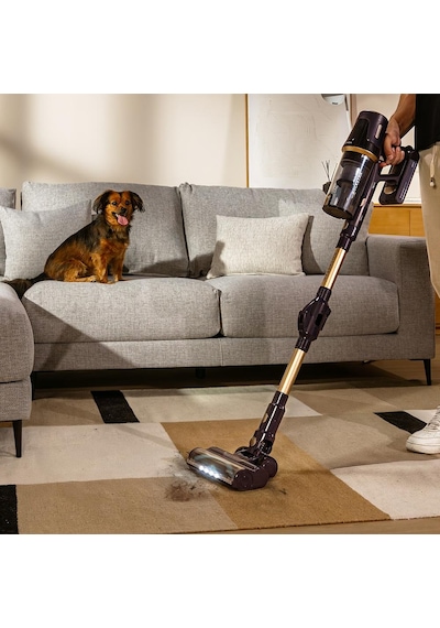 Cecotec Conga Rockstar RS70 Pet Flex Kablosuz Dikey Süpürge