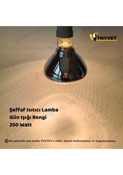 Isıtıcı Lamba Şefffaf Renk 250 Watt + E27 Seramik Duy+2m Fişli Kablo Kullanıma Hazır Set