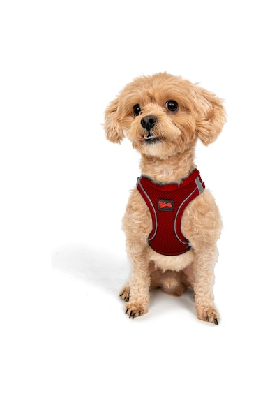 Air-Mesh Küçük ve Orta Irk Kedi Köpek Göğüs Tasması - Yumuşak, Nefes Alabilir, Dayanıklı KIRMIZI 2XS