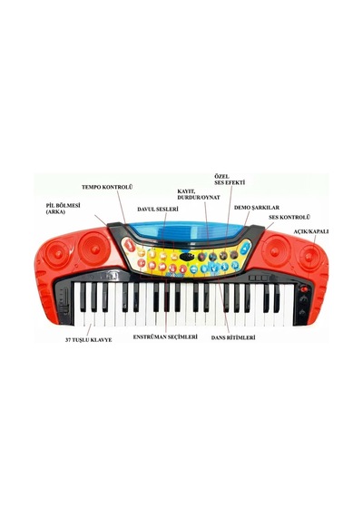 Müzik Dünyası 37 Tuşlu Kayıt Özellikli Işıklı Ve Sesli Eğitici Elektronik Org Piyano Oyuncak