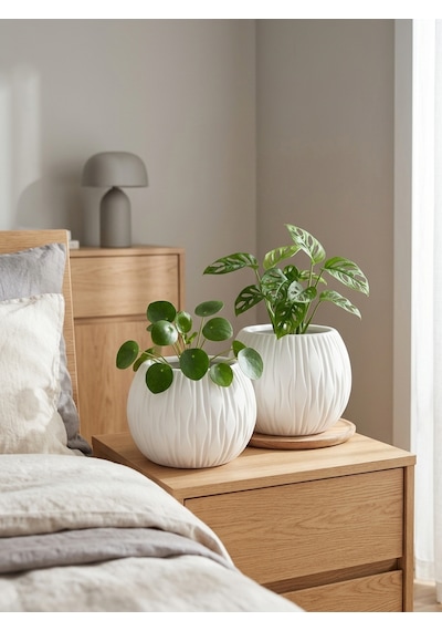 Kaveld Stone Calm El Yapımı Dekoratif Seramik Görünümlü Saksı Çizgi Kabartmalı Minimalist Iç Mekan Saksısı Salon Balkon Ofis Çiçeklik Ev Dekoru Beyaz Kaveld Stone Calm El Yapımı Dekoratif Seramik Görünümlü Saksı Çizgi Kabartmalı Minimalist Iç Mekan Saksısı Salon Balkon Ofis Çiçeklik Ev Dekoru Beyaz