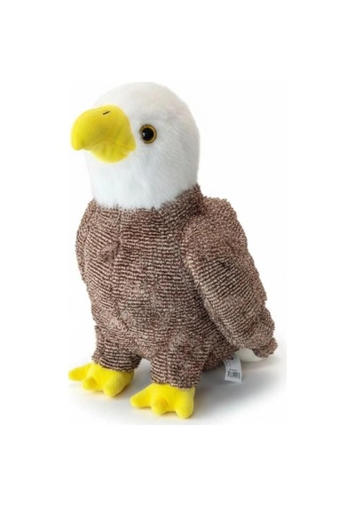 Pl50253 45 Cm Kartal-hly