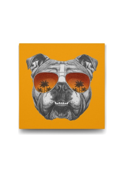 İngiliz Bulldog Tablosu - 60x60cm