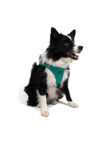 Air-Mesh Küçük ve Orta Irk Kedi Köpek Göğüs Tasması - Yumuşak, Nefes Alabilir, Dayanıklı YEŞİL XL