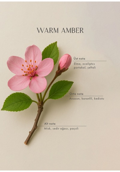 Bella Maison Warm Amber Oda Spreyi 500 Ml Amber