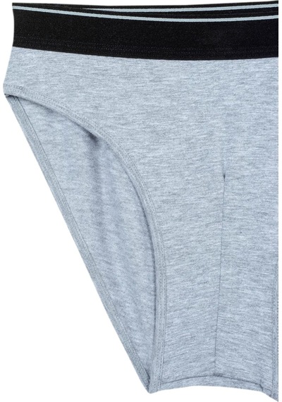 Bsm Erkek Gri Modal Külot 040794 Gri
