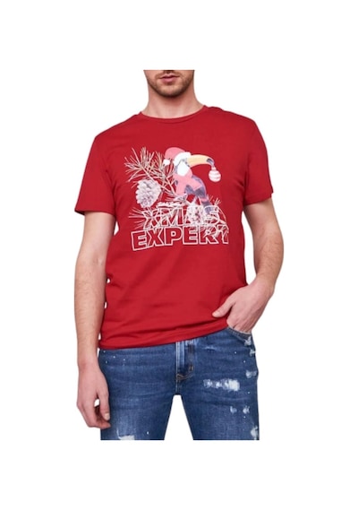 Jack & Jones Jack Jones Erkek T-shırt 12198774-sage Kırmızı