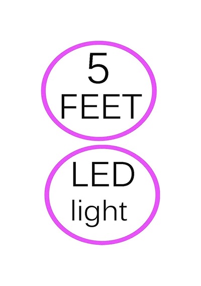 Cs Modeli İçin 12v 2a Güç Adaptörü: Cs-1202000 Duvar Ev Şarj Cihazı Güç Şarj Cihazı Kablosu, 5 Feet, Led Göstergeli