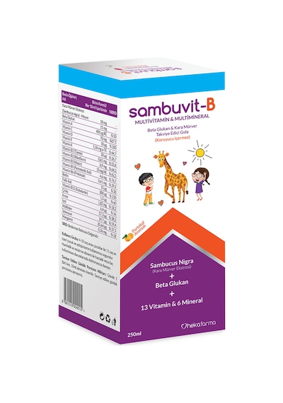 Sambuvit-B Multivitamin Şurup 250 ML